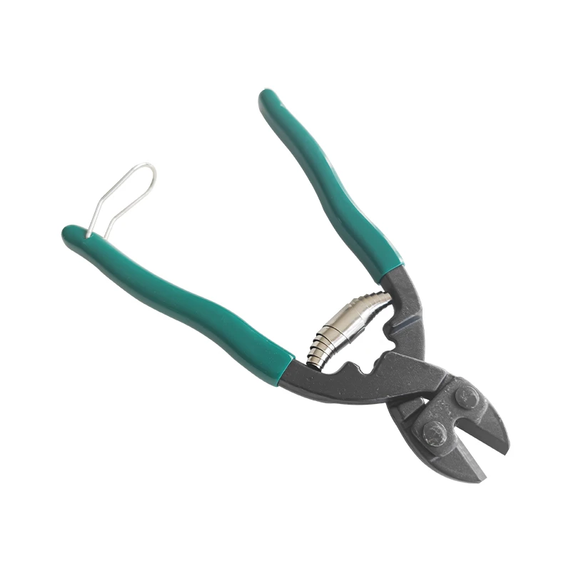 product-800-800